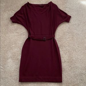 The Limited Maroon Stretchy Dress